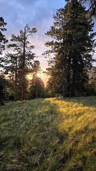 Views from Broadside Trail.