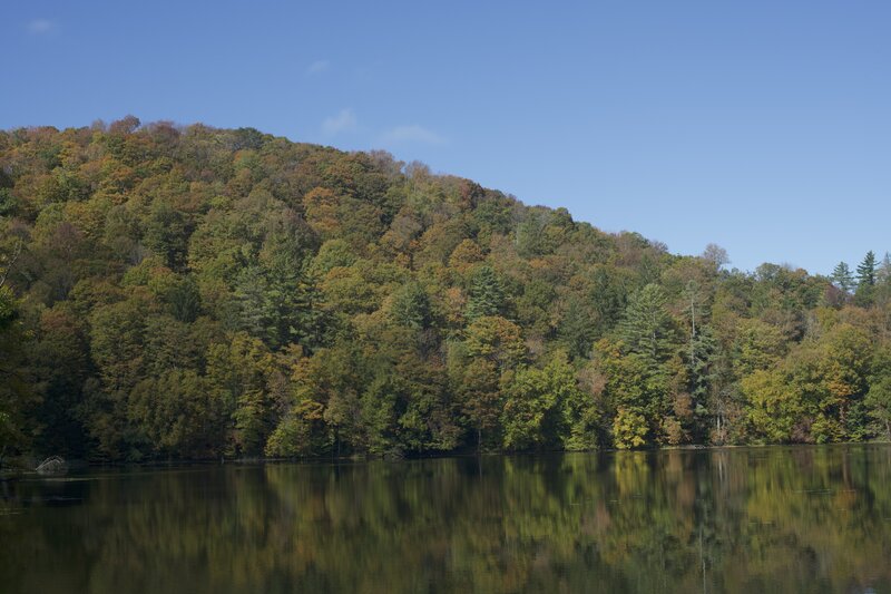 When you arrive at the Pogue in the Fall, the changing leaves stand out again the pond and sky above.