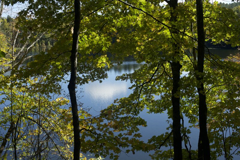 As you hike around the pond, you can get views of the pond through the trees. Its a beautiful and peaceful place to take a walk.