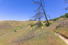 Grassy hills along the upper stretch of Devil's Slide Trail