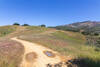 View from Knobcone Point Road towards Mount Diablo