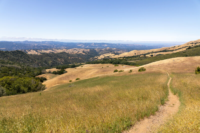 Pine Canyon from Wildcat Trail