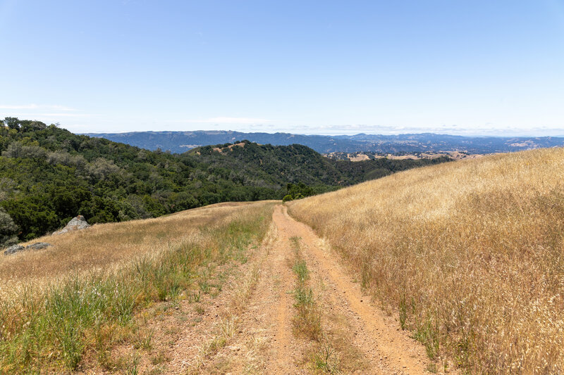 Descending into Pine Canyon