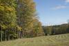 The Summer Pasture can be viewed along the trail. In the Fall, it is a beautiful scene as the leaves change color on the trees at the edge of the pasture.
