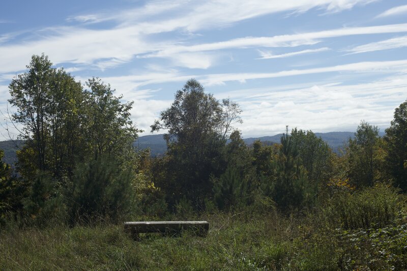 A bench sits in a small opening where the trail loops back. While the views aren't great, you can sit and enjoy the forest around you.