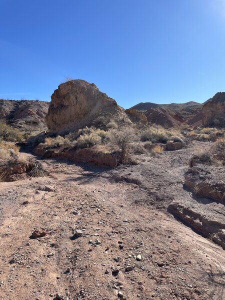 Cottonwood wash