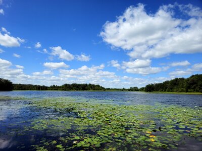 Murphy Lake in summer