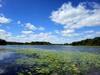 Murphy Lake in summer