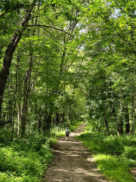 On the trail toward Intersection 14.