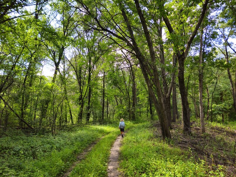 In the park's backcountry.