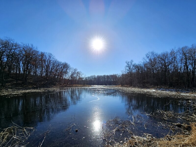 Winter sunshine on a part of Murphy Lake.