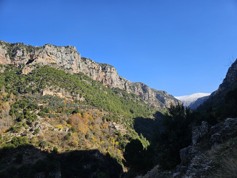 Qannoubine monastery