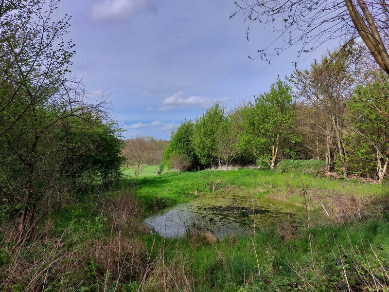 A little pond along the Twee bekenwandelroute.