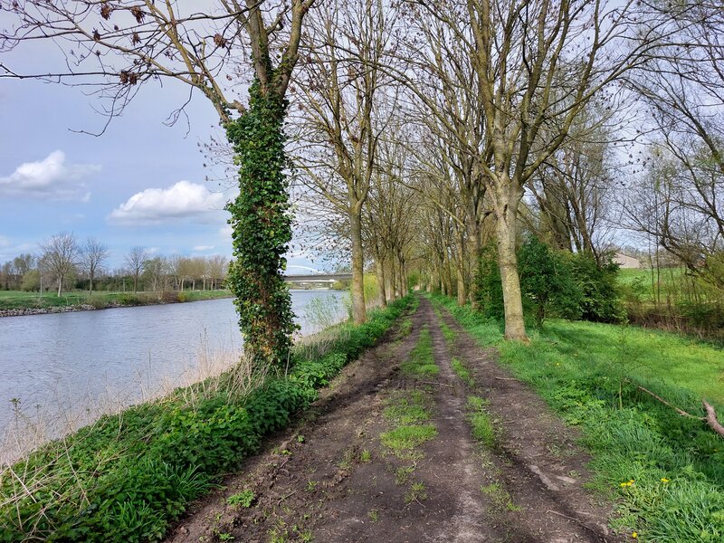 Trail along the leie.