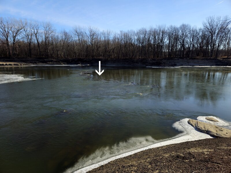 Carver Rapids (arrow) in the Minnesota River.