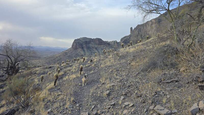 One of the many views along the trail.