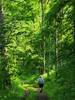 Along the Sykes Trail in midsummer.