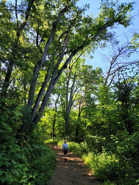 Along the Outer Loop Trail