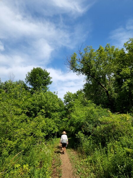 Along the Outer Loop Trail past Upper 4 Corners.