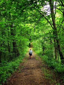 Along the Box Elder Trail.