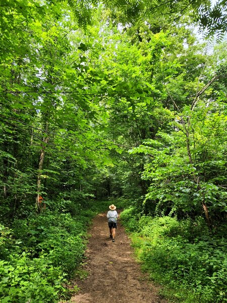 On the Pine Grove Trail.