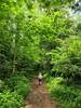 On the Pine Grove Trail