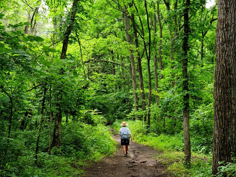 On the Walnut Trail