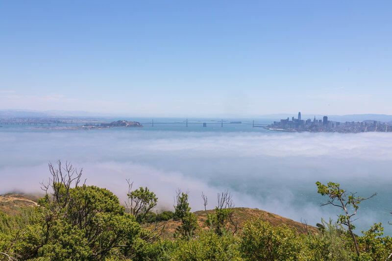 San Francisco and Bay Bridge.