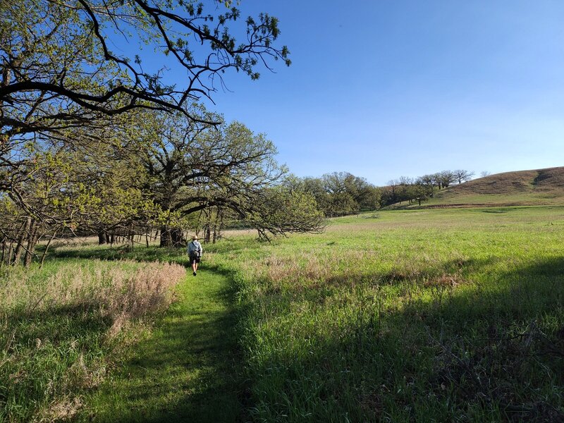 Past prairie land north of the trailhead.