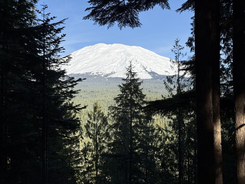 A clear view of the S face of Mt St Helens on a sunny day with blue skies!