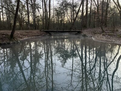 Blue Hole Spring on an early, cold morning.