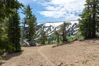 A first glimpse of the snow covered northern slopes ahead.