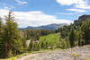 A meadow along the Pacific Crest Trail.