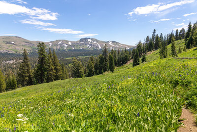 Red Lake Peak looming in the distance.