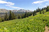 Red Lake Peak looming in the distance.