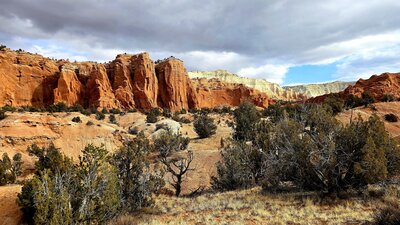 The view from Panorama Trail.