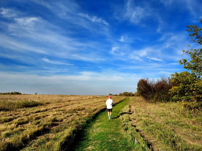 Atop the bluff on the River View Trail.