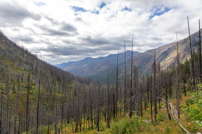 Part of the trail was burned by the 2018 Crescent Mountain Fire.