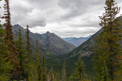 View down the North Creek Valley.