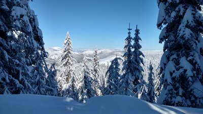 Distant views of the Idaho Selkirk Mountains, from Mt. Spokane's Shady Way Trail in February.