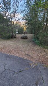 Beginning of trail, across the road from trailhead map.