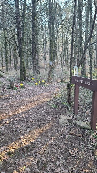 Start of loop (going CCW), showing the remnants of Bodine Cemetery.