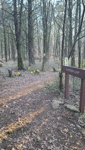 Start of loop (going CCW), showing the remnants of Bodine Cemetery.