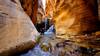 Kanarra Falls. The third (last) falls