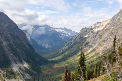 Fisher Creek Valley with Mount Logan in the distance.