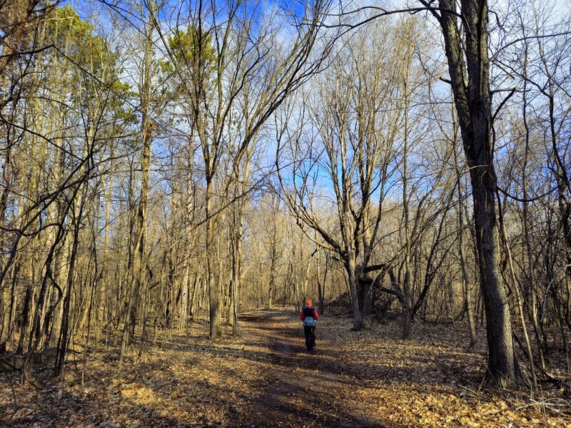 On the trail not far northwest of 129th Avenue.