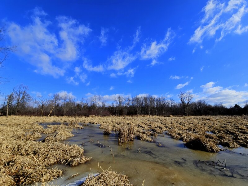 Diamond Creek frozen in winter.