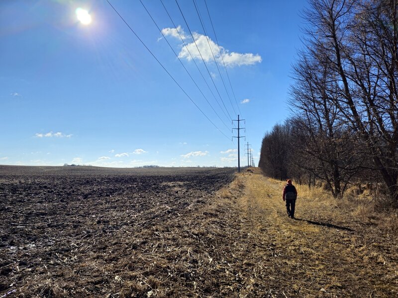 Along a farm field and a powerline.