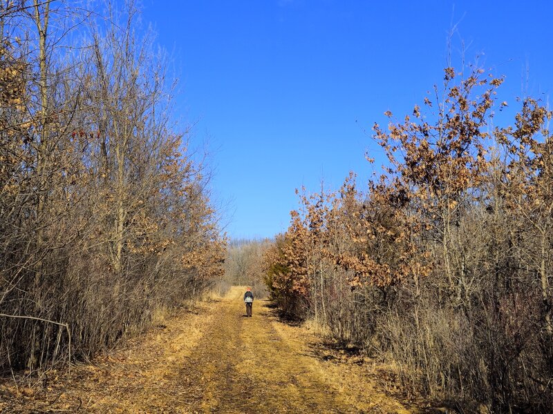 On the lollipop loop at the end of the trail.