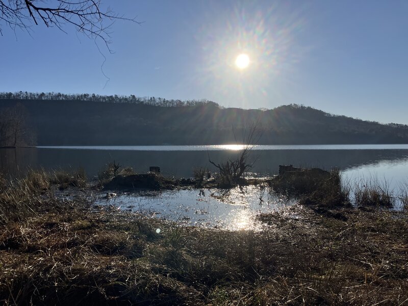 Flooded Cellarhole along the banks of Haig Mill Lake.